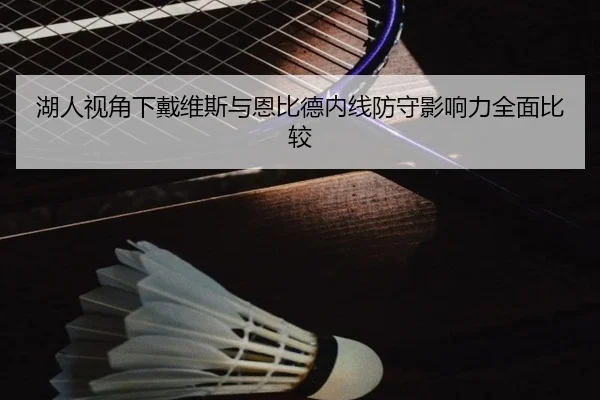 湖人视角下戴维斯与恩比德内线防守影响力全面比较