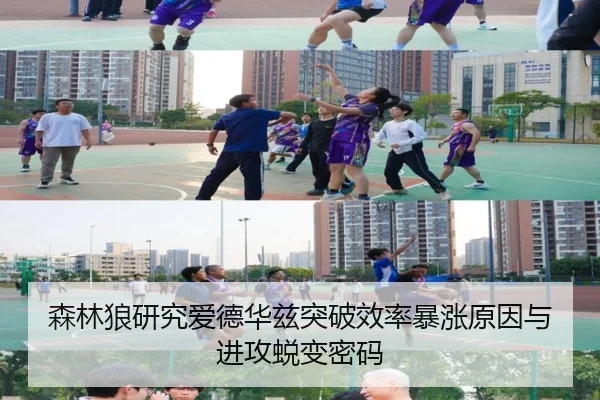 森林狼研究爱德华兹突破效率暴涨原因与进攻蜕变密码