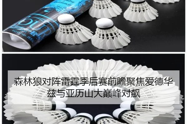 森林狼对阵雷霆季后赛前瞻聚焦爱德华兹与亚历山大巅峰对飙